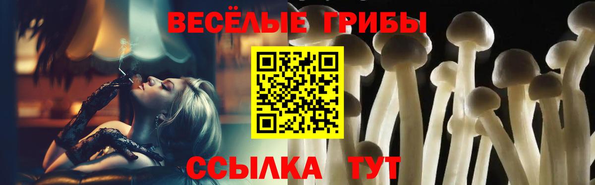 Галлюциногенные грибы Cubensis Старая Русса